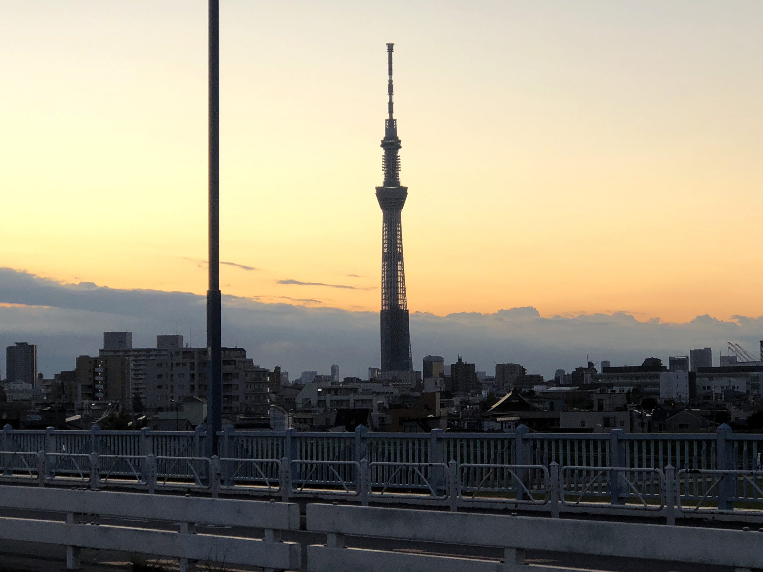 Tokyo Sky Tree at Sunset