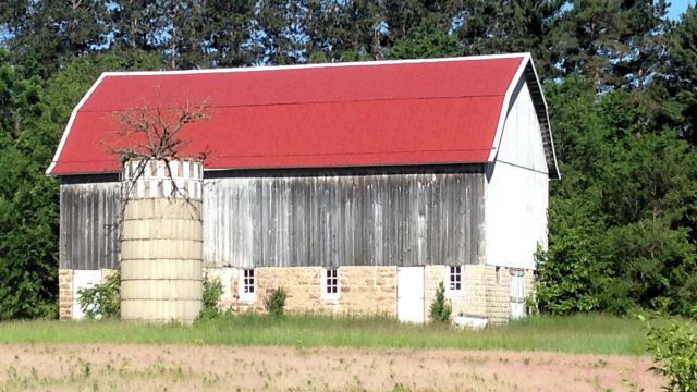 tree growing out of the top of a broken down silo.