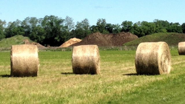 rolls of hay