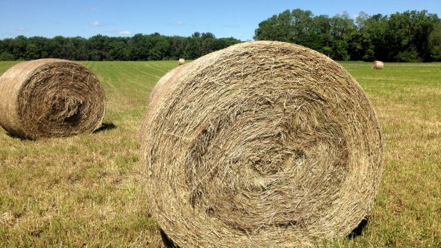 roll of hay