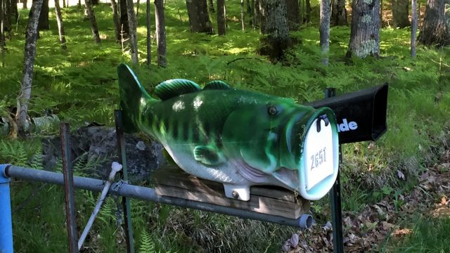 fish shaped mailbox