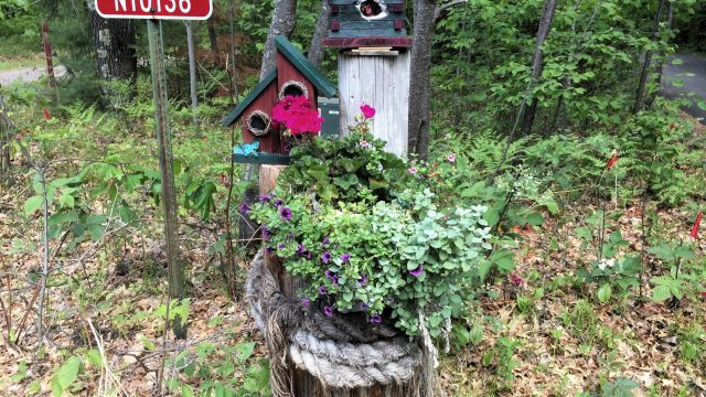 decorative birdhouses