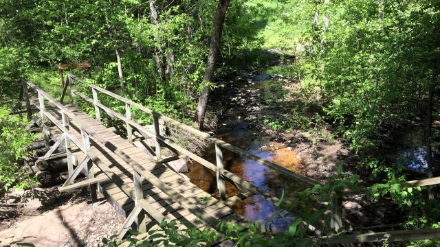 wooden footbridge in the woods