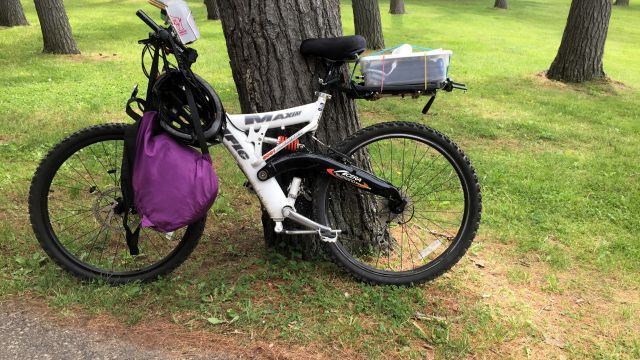 bicycle leaning against tree