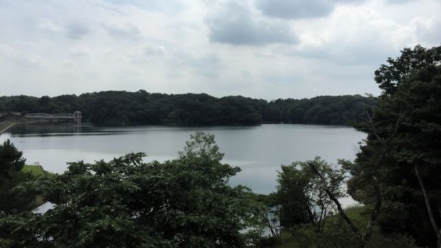 Lake Tamako