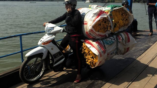 woman on motorcycle loaded with flowers