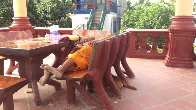 monk sleeping on a bench