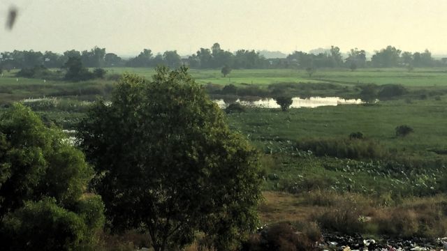 wetlands of the Mekong River Valley in Neak Loeung, Cambodia.