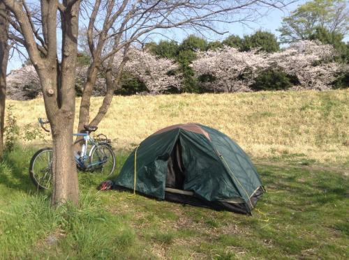 Sakura Ride