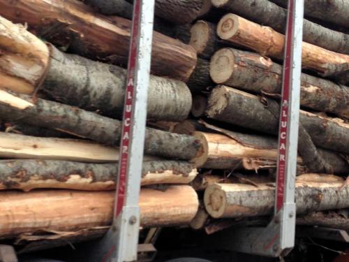 wood on a truck