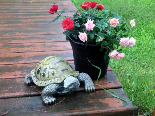 turtle yard ornament and flowers