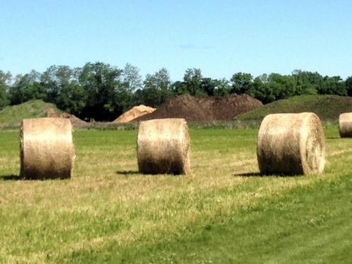 rolls of hay