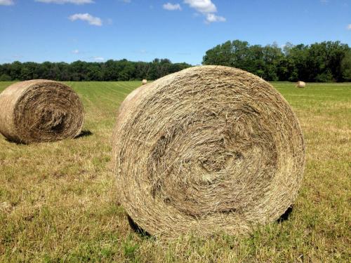 roll of hay