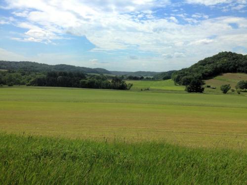 farm field