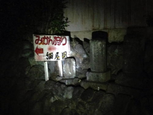 mikan sign at night