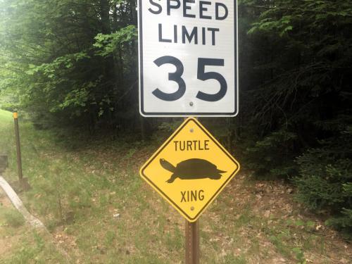 turtle crossing sign