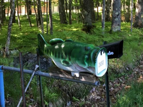 fish shaped mailbox