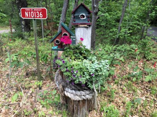 decorative birdhouses