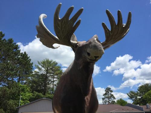 big moose statue