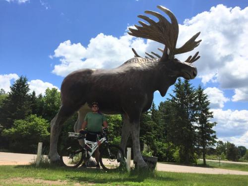 big moose statue