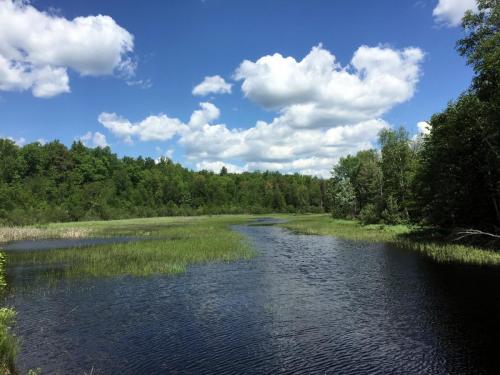 Wetlands