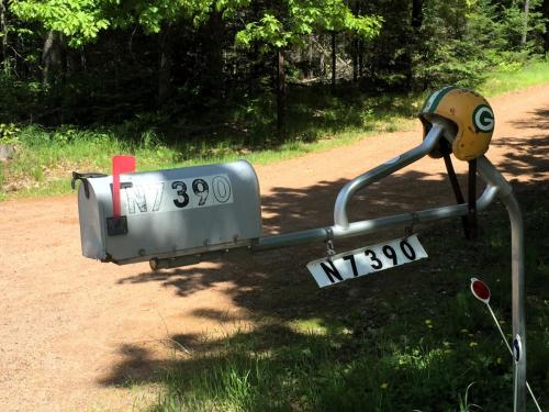 Packers themed mailbox
