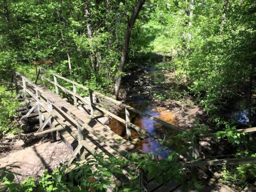 wooden footbridge in the woods