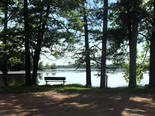 bench on river bank