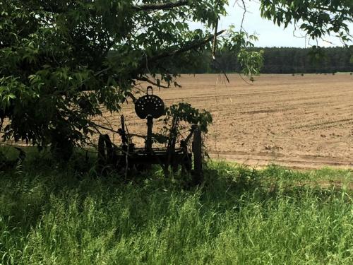 derelict farm equipment