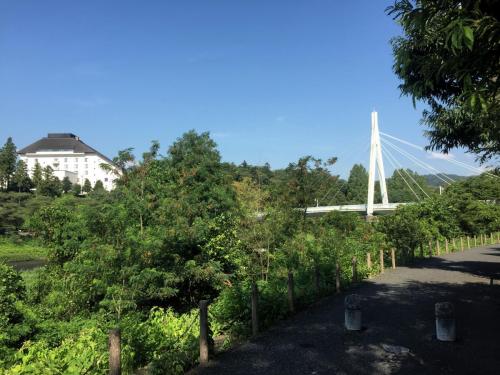 The bridge connecting Kami no Fuchi Park with Ome.