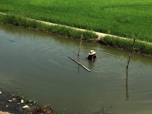 cigarette smoking farmer in canal