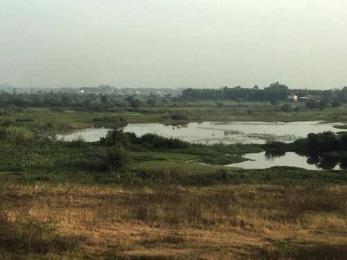 Mekong River Valley, Neak Loeung, Cambodia